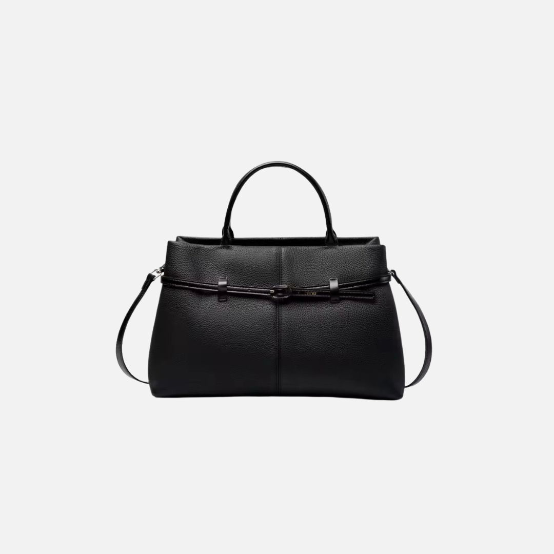 Cèdre Numéro Seize